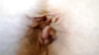 Blown fucks back the back of her procurate friend